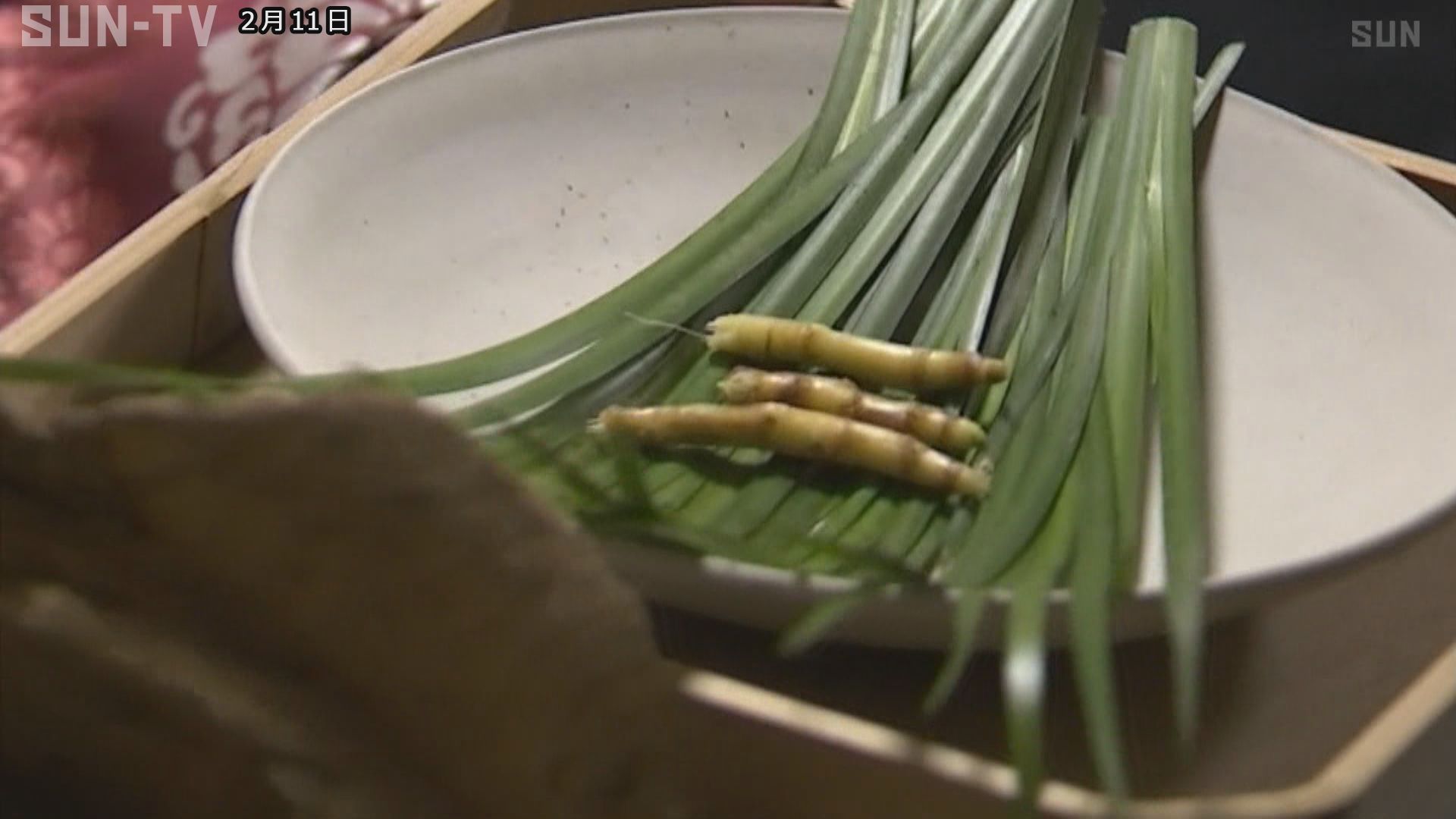 新温泉町で100年続く伝統 神社のミョウガで吉凶占う サンテレビニュース