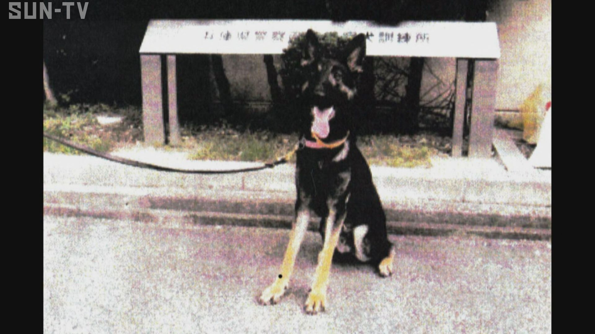 警察犬が福崎町山中で逃げる 約５メートルのリードつけたまま サンテレビニュース