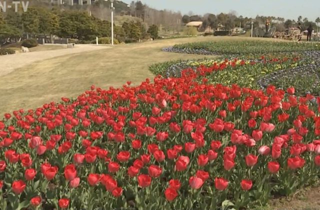 コロナ サンテレビニュース Part 30