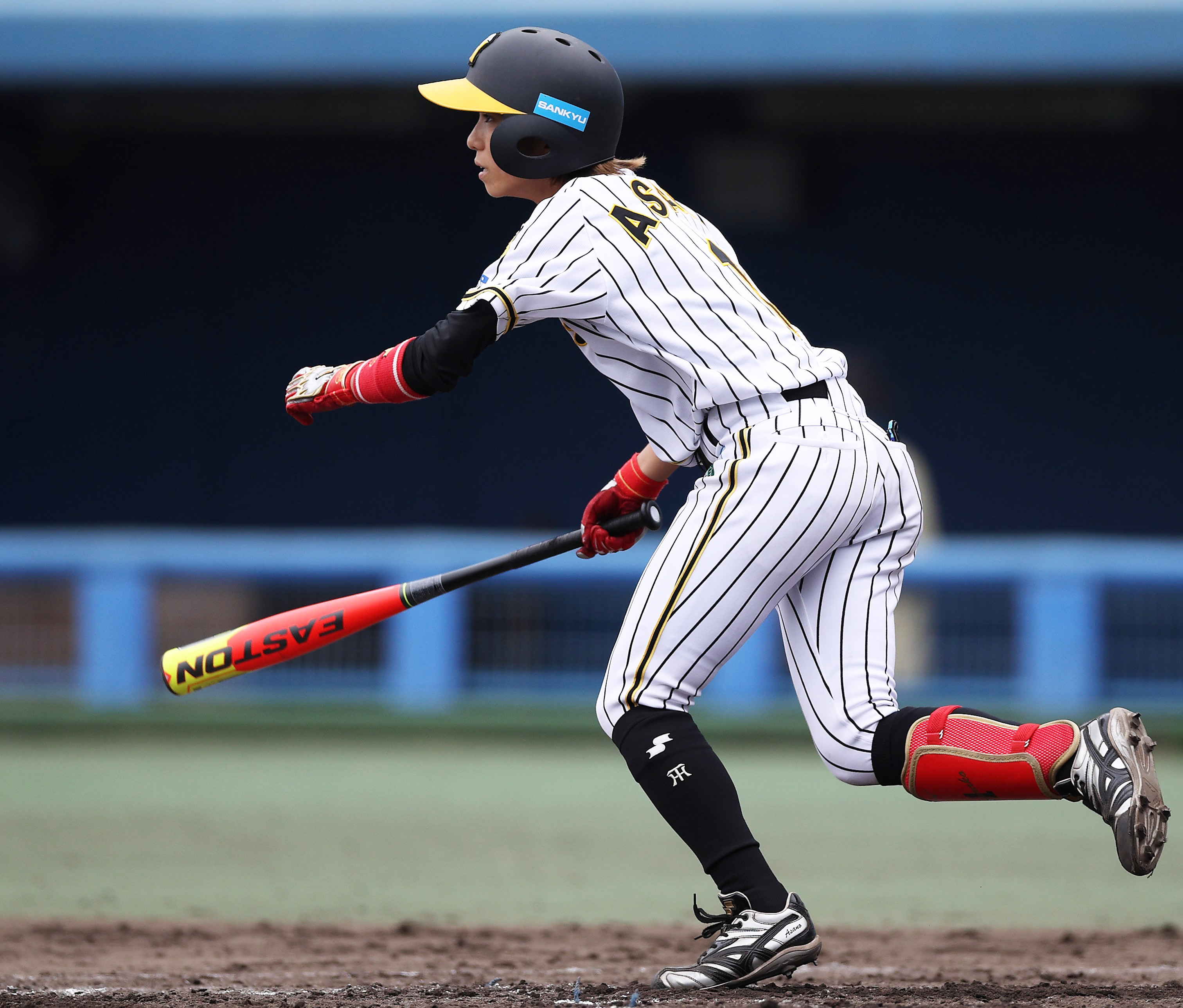 安い割引 阪神タイガースレディース 浅野桜子 実使用ユニフォーム 応援