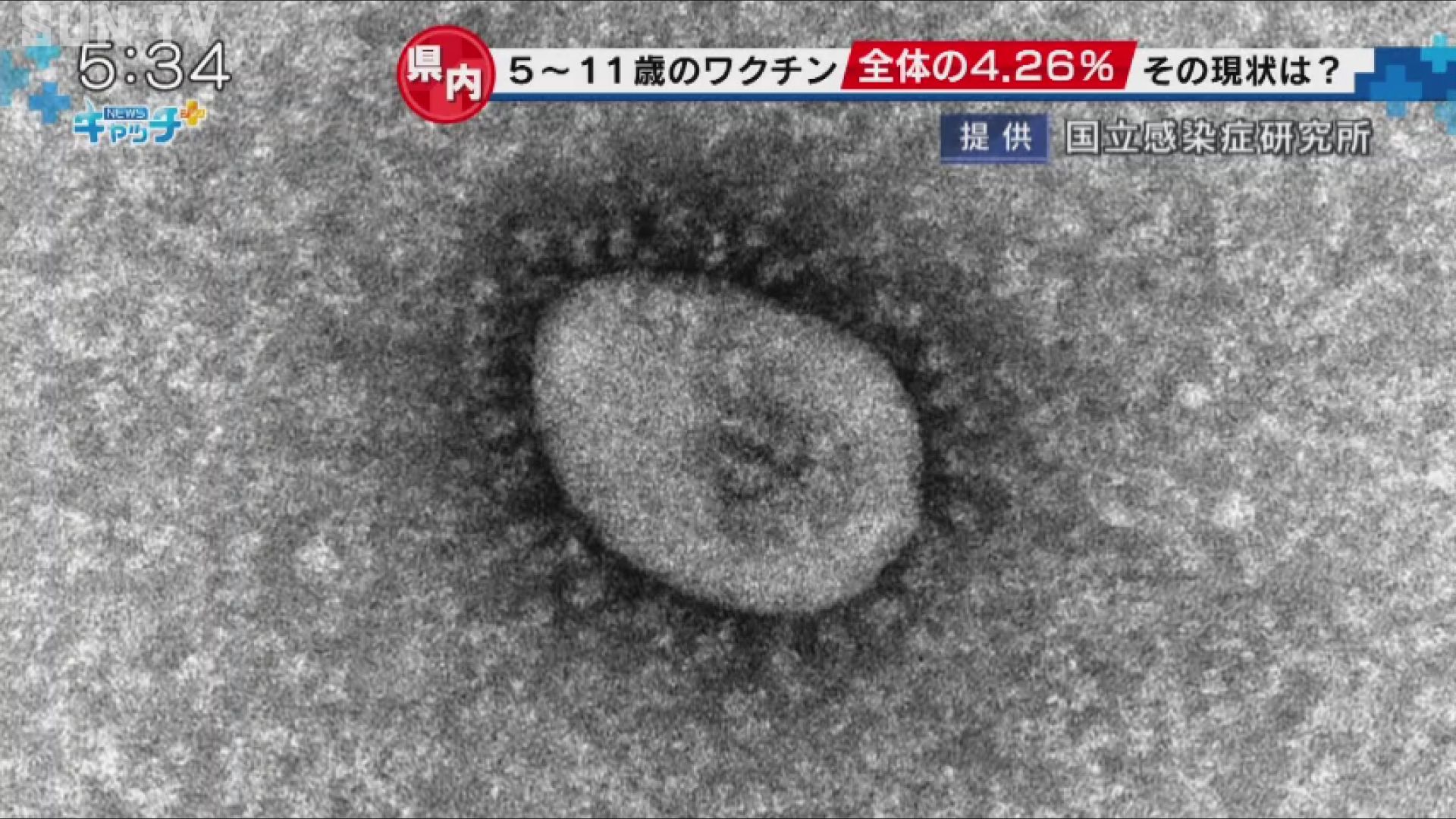 5 11歳の新型コロナワクチン接種開始から1カ月 兵庫県内の接種率は4 26 サンテレビニュース